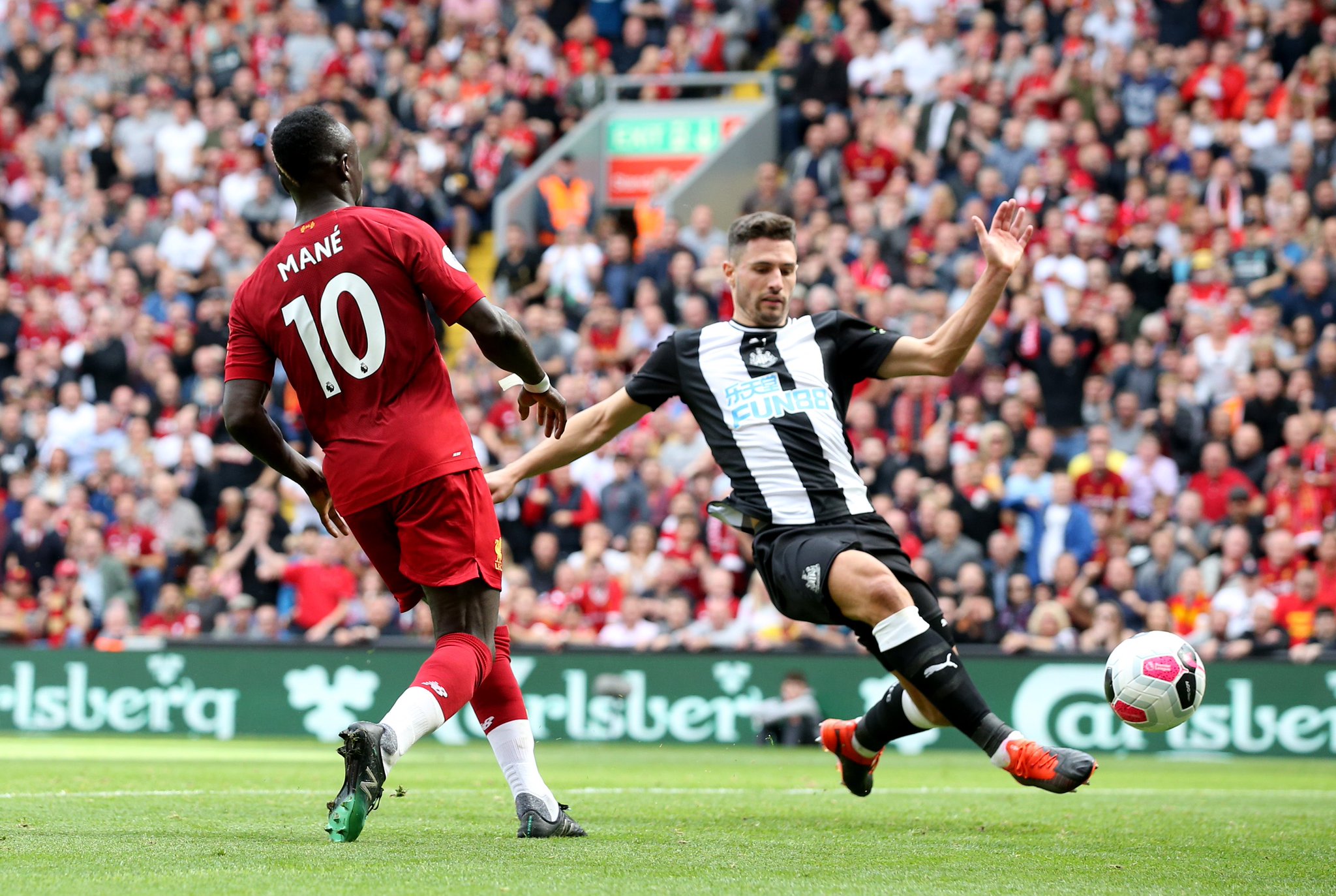 他不仅仅依 他不仅仅依